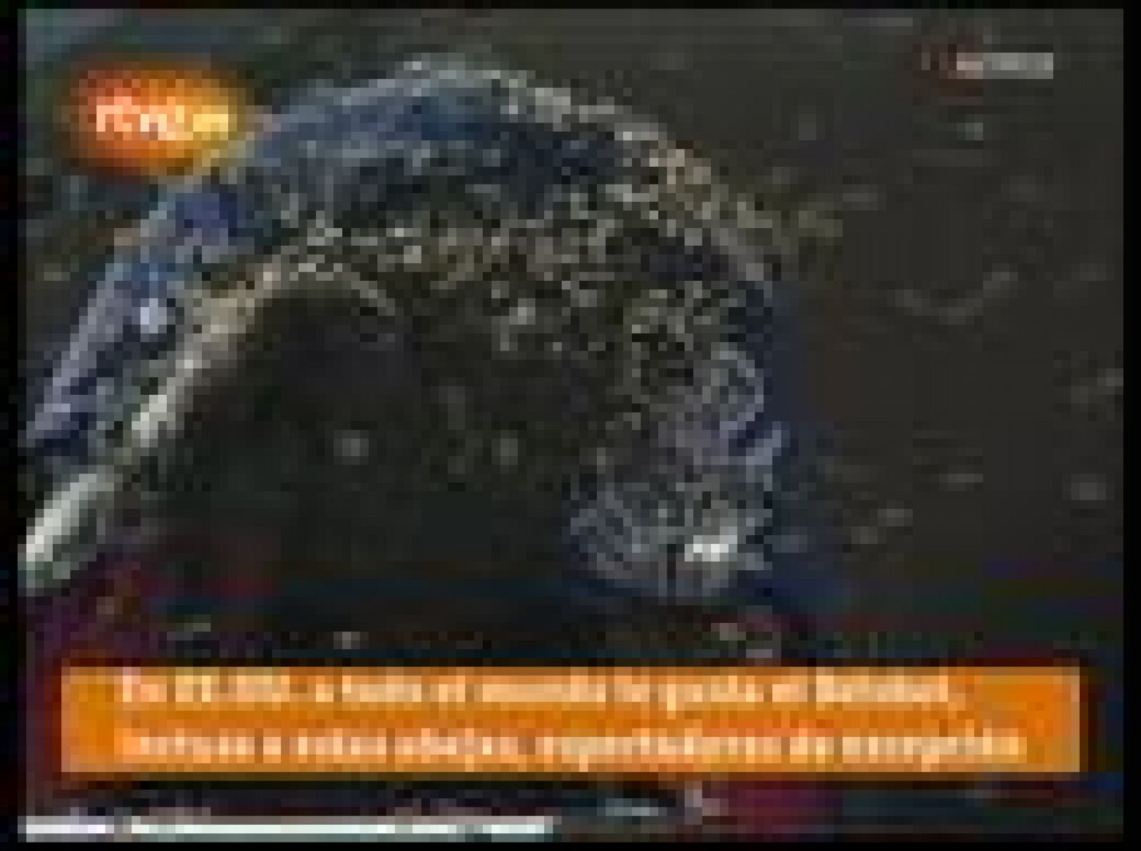 Abejas en un partido de béisbol | Ver