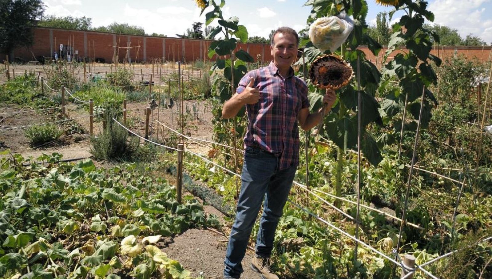 ¿Una ducha de pipas?