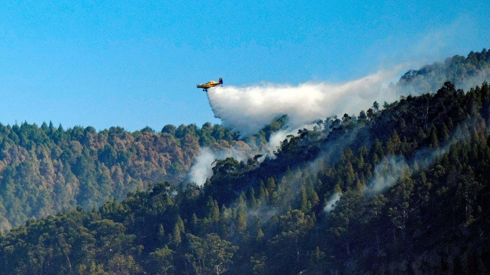 Incendio en Gran Canaria | Estabilizado el fuego que arrasa más de 9.000 hectáreas