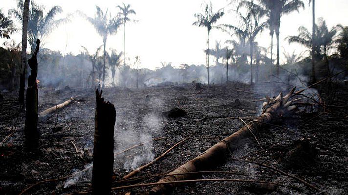 - La Amazonia sufre los peores incendios forestales de los últimos años