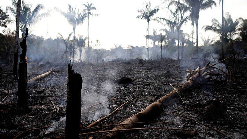 La Amazonia sufre los peores incendios forestales de los últimos años
