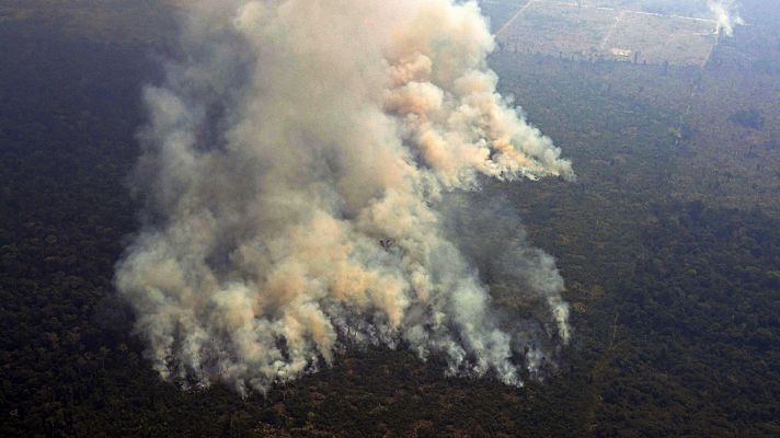 Telediario 1 - Los incendios en la Amazonia renuevan la alarma sobre el aumento de la deforestación