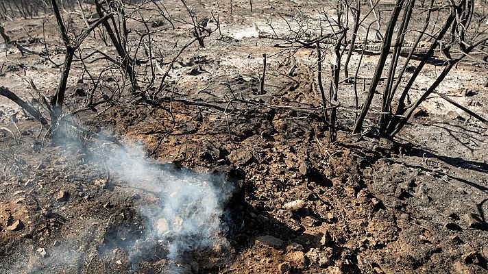 Los técnicos investigan las causas del incendio que asoló la cumbre de Canarias