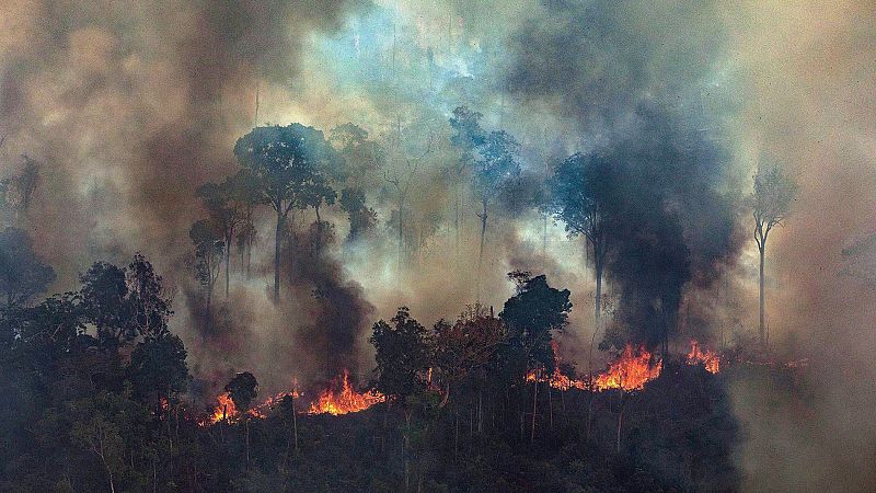 Sigue la lucha para controlar los incendios que devastan la Amazonía desde hace semanas