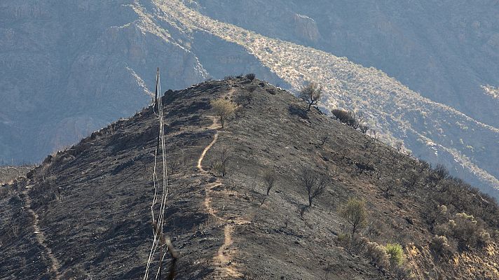 El incendio de Gran Canaria ha afectado a su biodiversidad