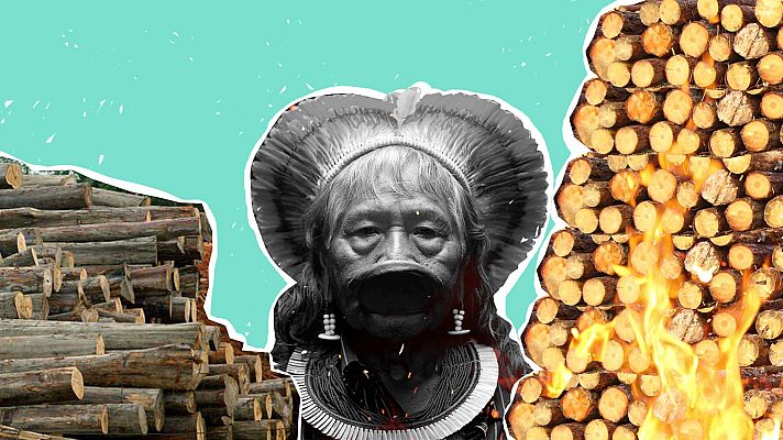 Modo Digital - Paremos la deforestación del Amazonas