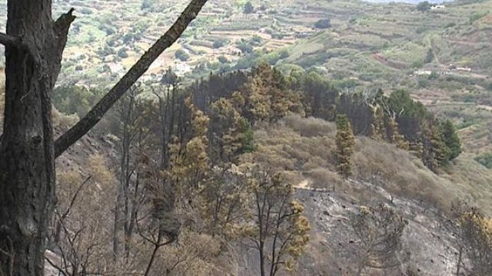 Telecanarias - Telecanarias - 26/08/2019