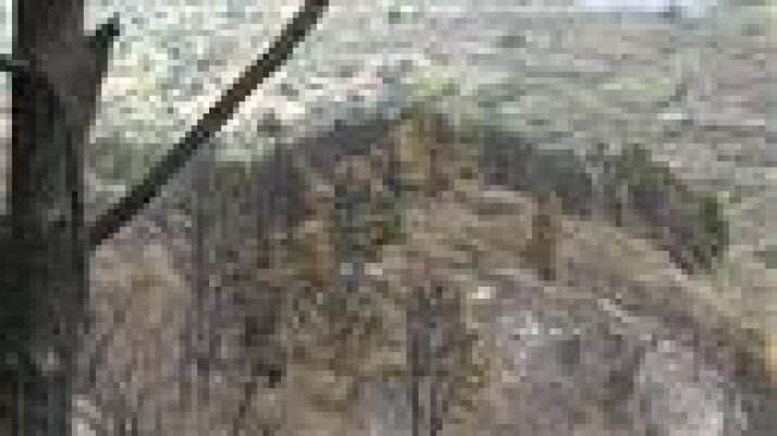 Telecanarias - Telecanarias - 26/08/2019