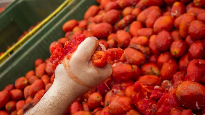 L'informatiu - Comunitat Valenciana - L'Informatiu - Comunitat Valenciana - 27/08/19