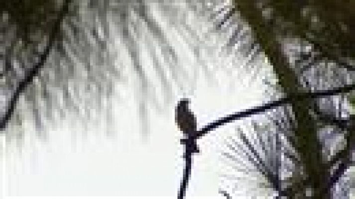 Telecanarias - Canarias en 2' - 27/08/2019