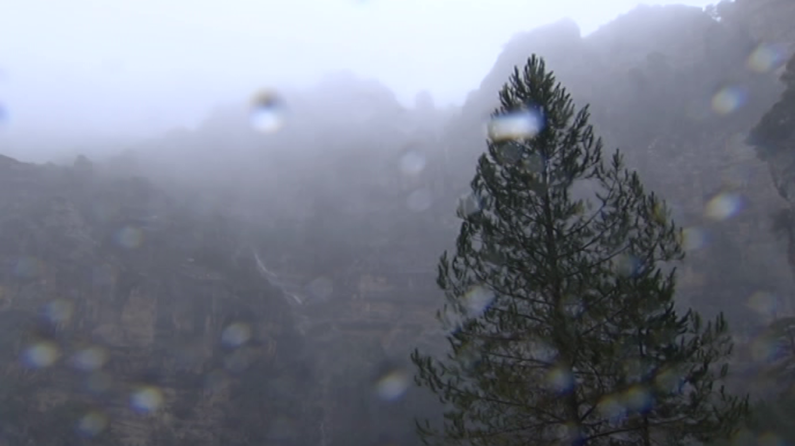 España en 24 horas - 27/08/19 - ver ahora