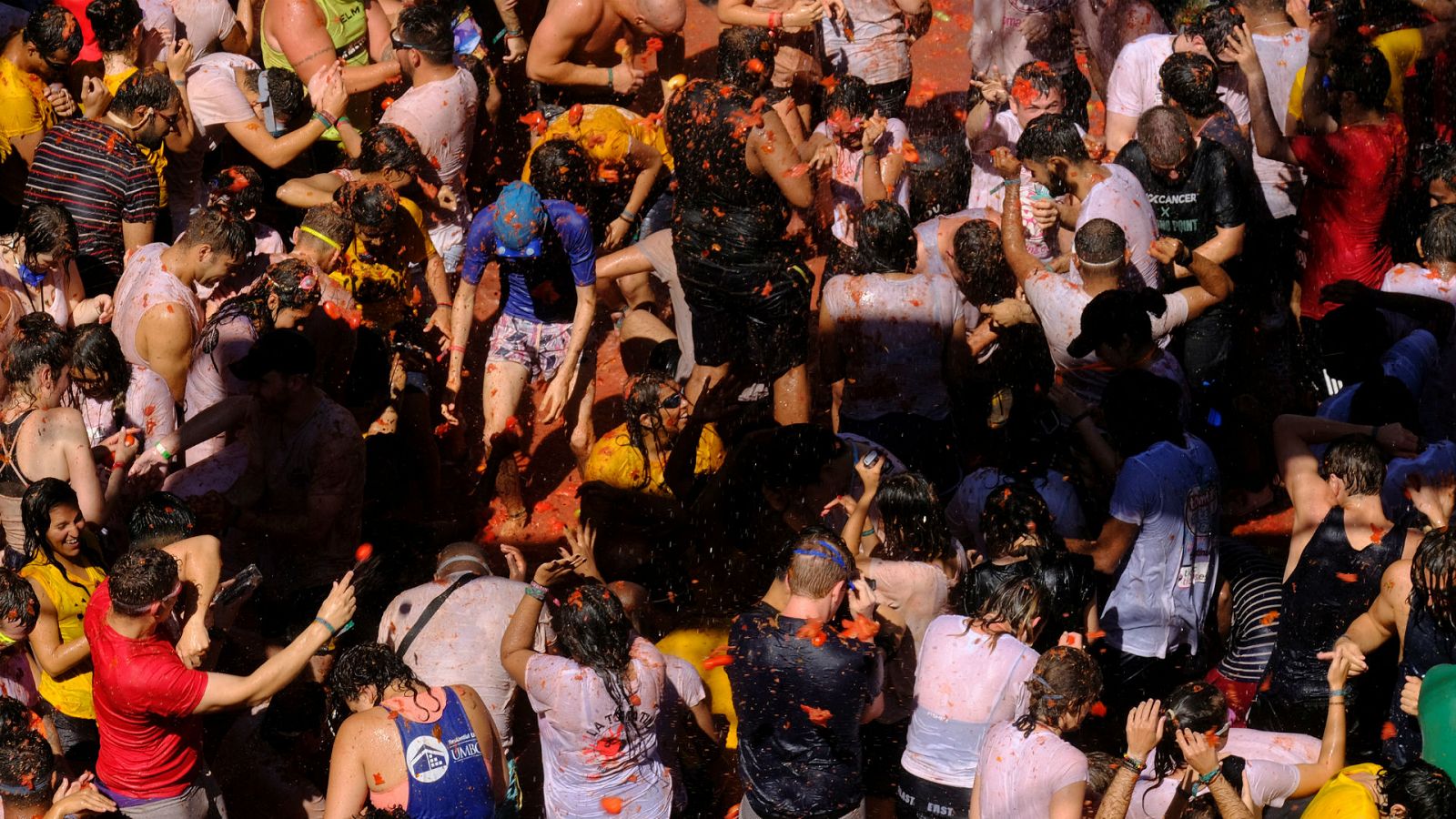 La mañana - La Tomatina de Buñol empieza con 145 mil kilos de tomates