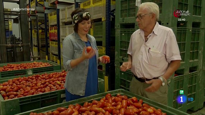 Conocemos el secreto de la Tomatina de Buñol