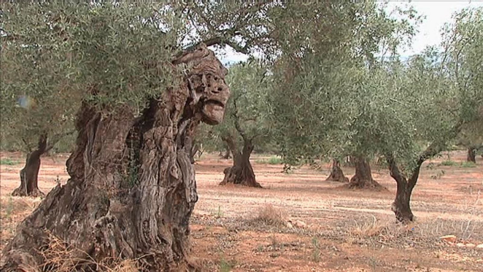 La Comunidad Valenciana en 2' - 28/08/19 - ver ahora