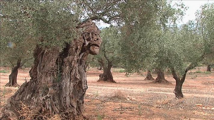 L'informatiu - Comunitat Valenciana - La Comunidad Valenciana en 2' - 28/08/19