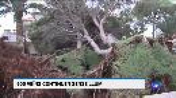 Informatiu Balear - Informatiu Balear - 28/08/19