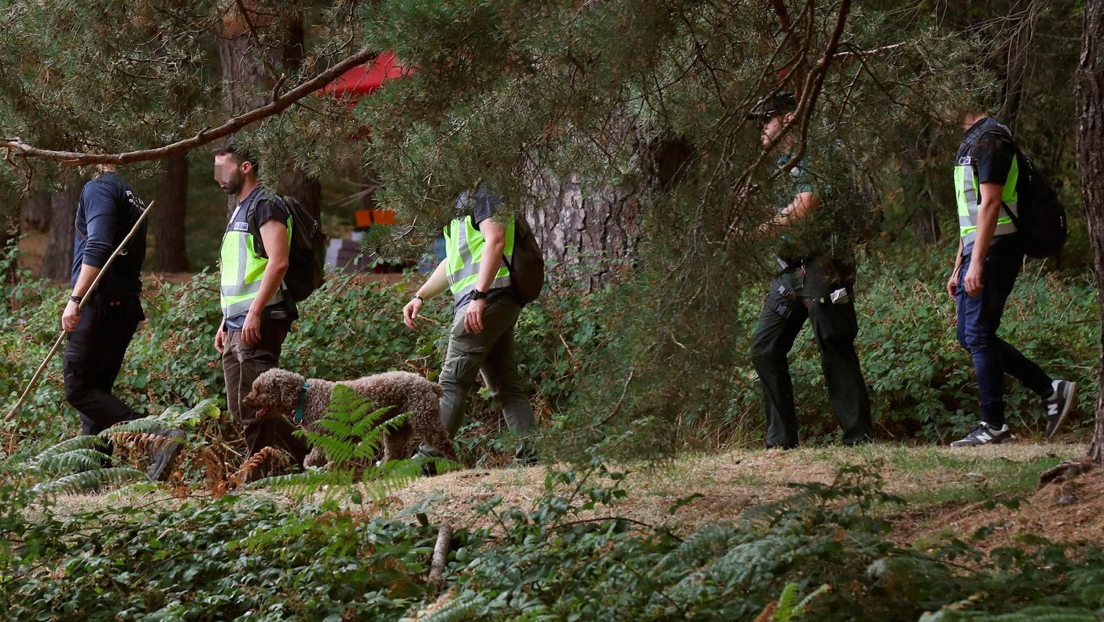 300 profesionales y 100 voluntarios buscan a Blanca Fernández Ochoa