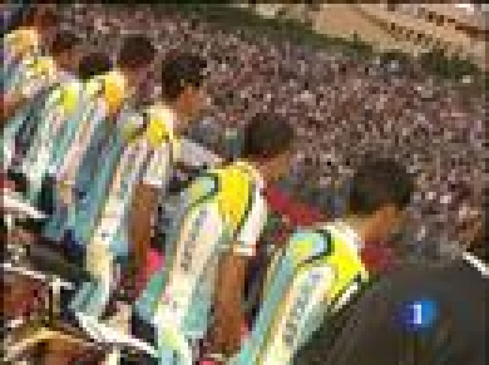 Cuatro campeones en la salida