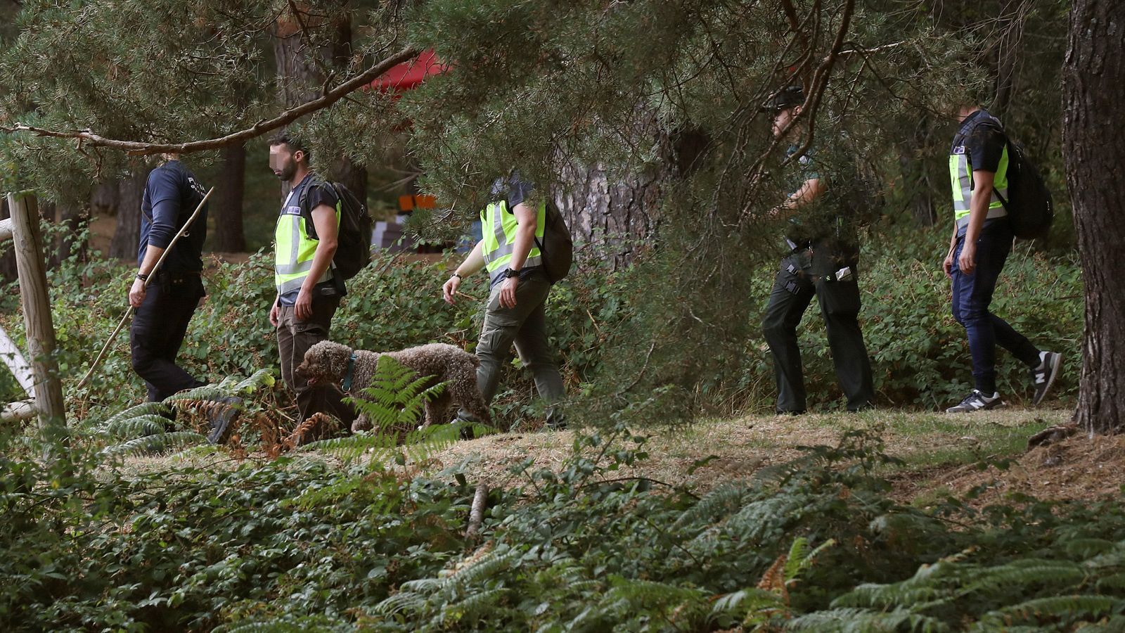 Reemprenden las batidas en busca de Blanca Fernández Ochoa - RTVE.es - Los desayunos | Ver