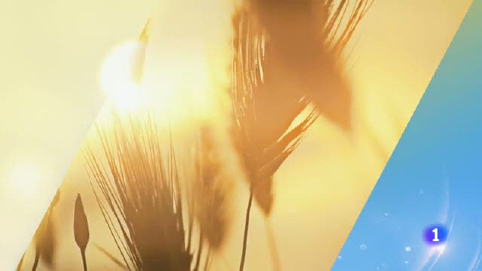 El tiempo en Aragón - 03/09/2019 | Ver