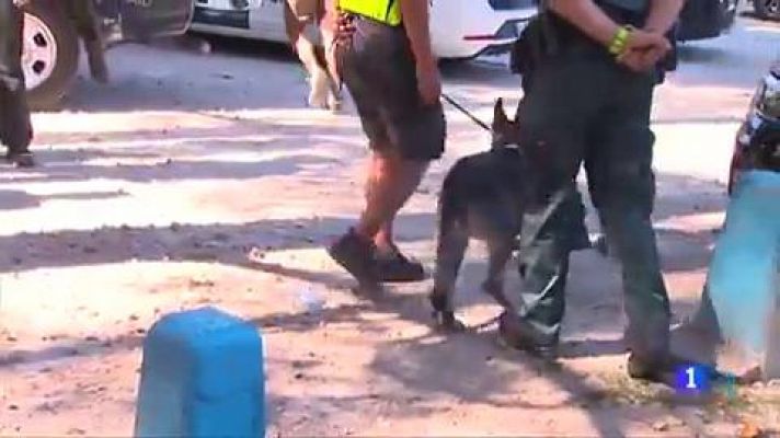 Telediario 1 - Blanca Fernández Ochoa aparece muerta en la sierra madrileña tras once días desaparecida