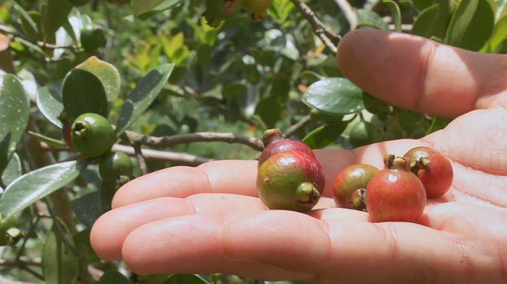 Aquí la Tierra - Aquí la Tierra - 04/09/19