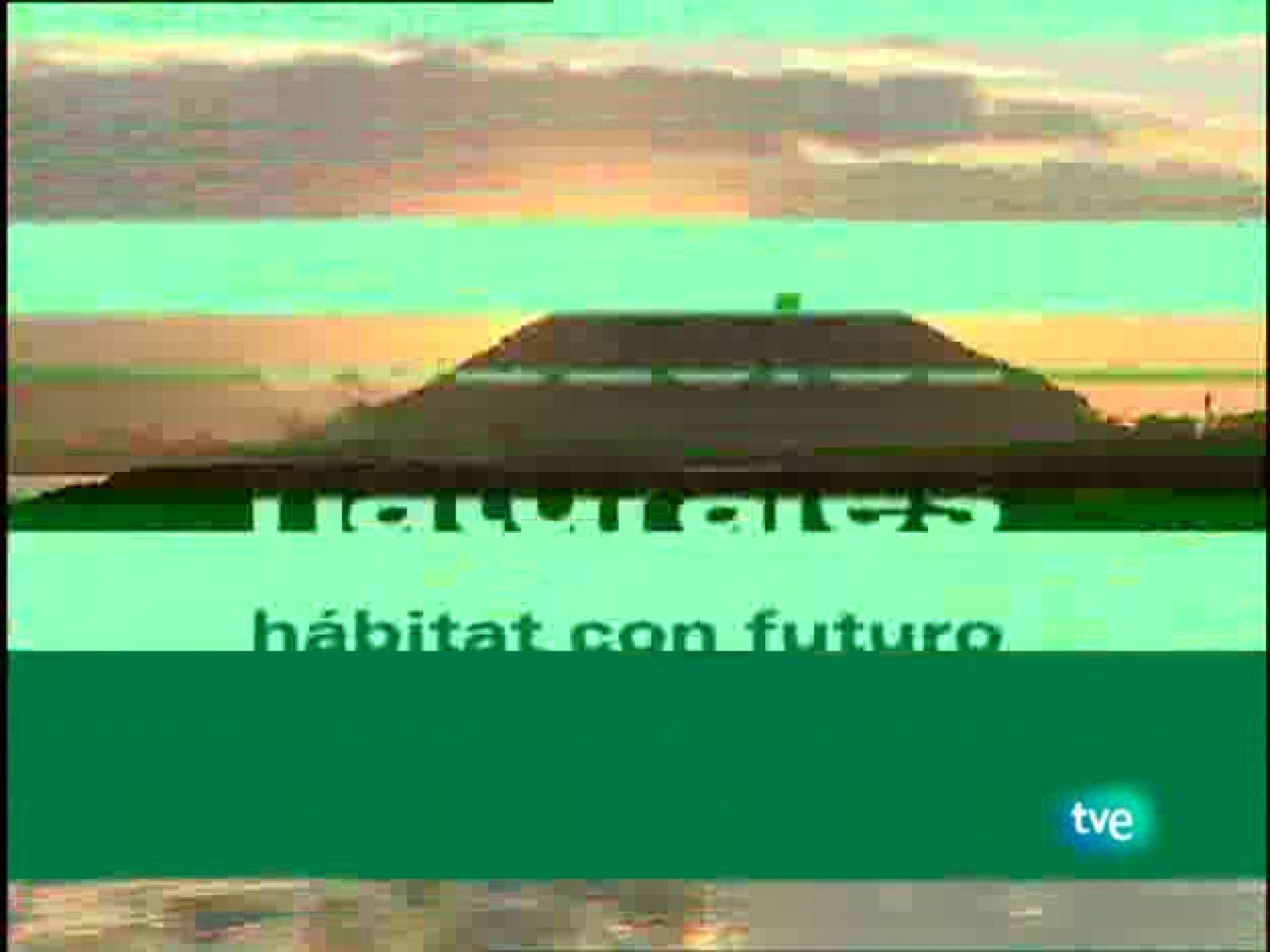 Espacios naturales - Habitat con futuro - El bosque de Irati | Ver