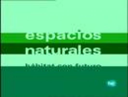 Espacios naturales - El bosque de Irati