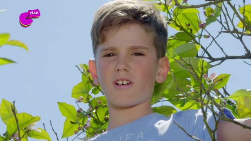 Javier, el rey de las fresas