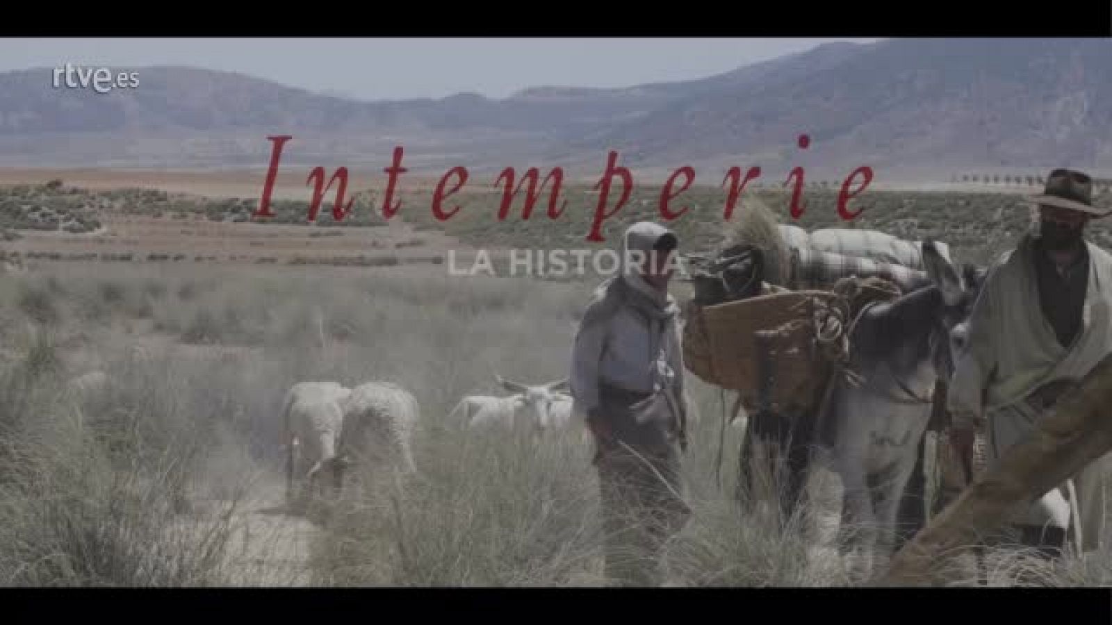 La historia de 'Intemperie': de la exitosa novela a la película de Benito Zambrano | Ver