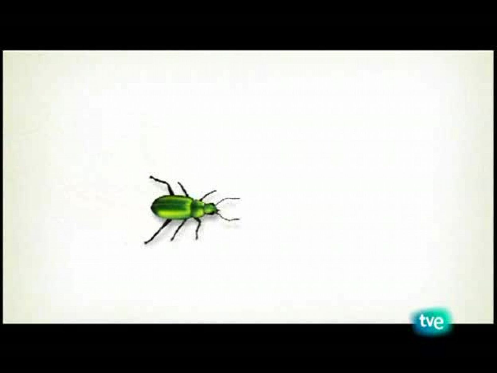 El escarabajo verde - Océanos vacíos