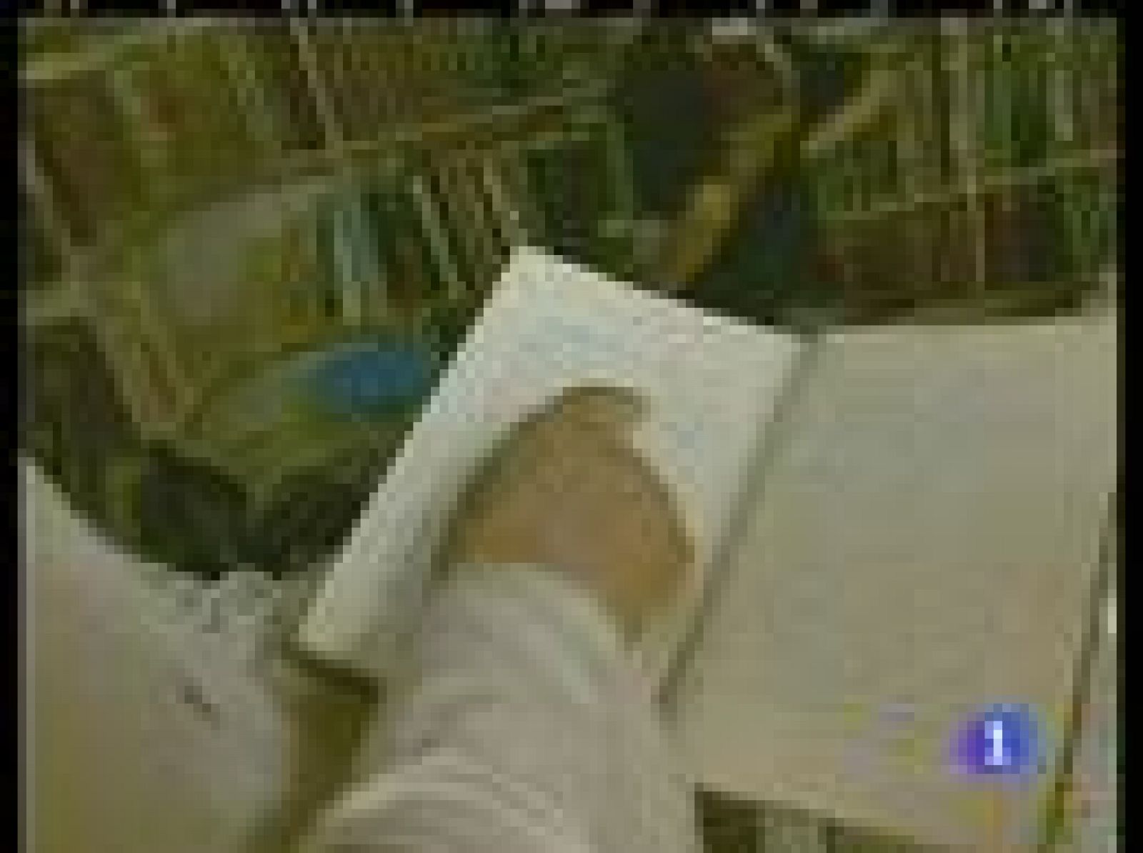 Irak, pasión por los libros | Ver