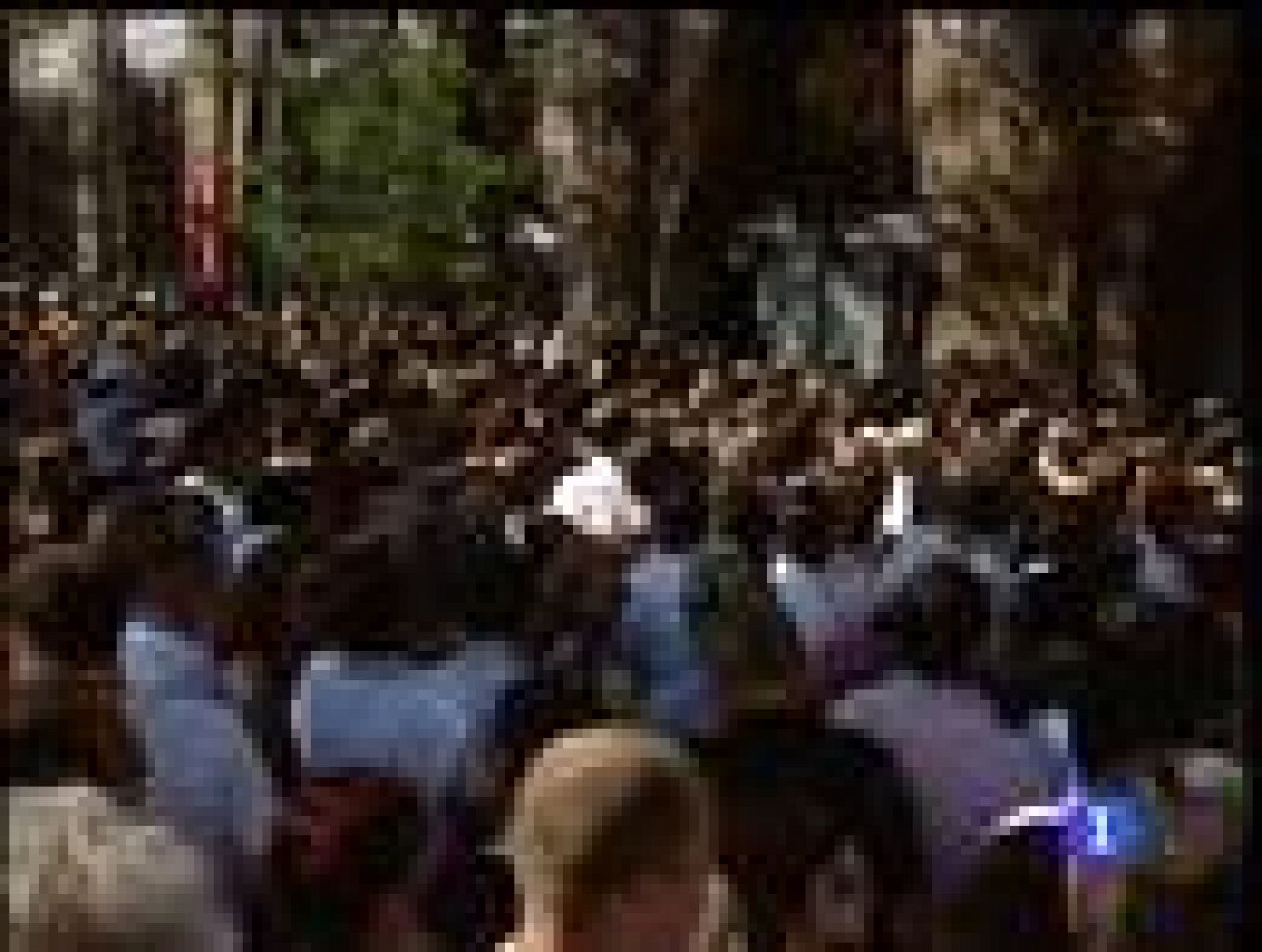 José Tomás corta cinco orejas en su encerrona en La Monumental | Ver