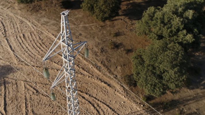 Líneas eléctricas y bosque