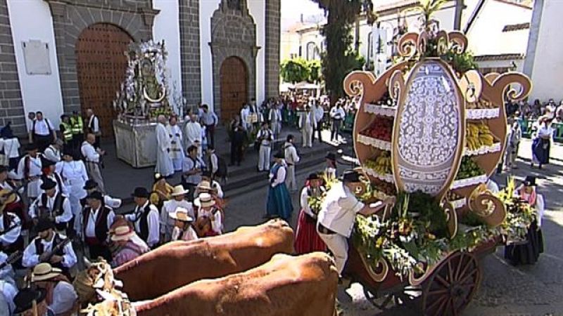 Romería ofrenda a la Virgen del Pino 2019 - 1ª parte