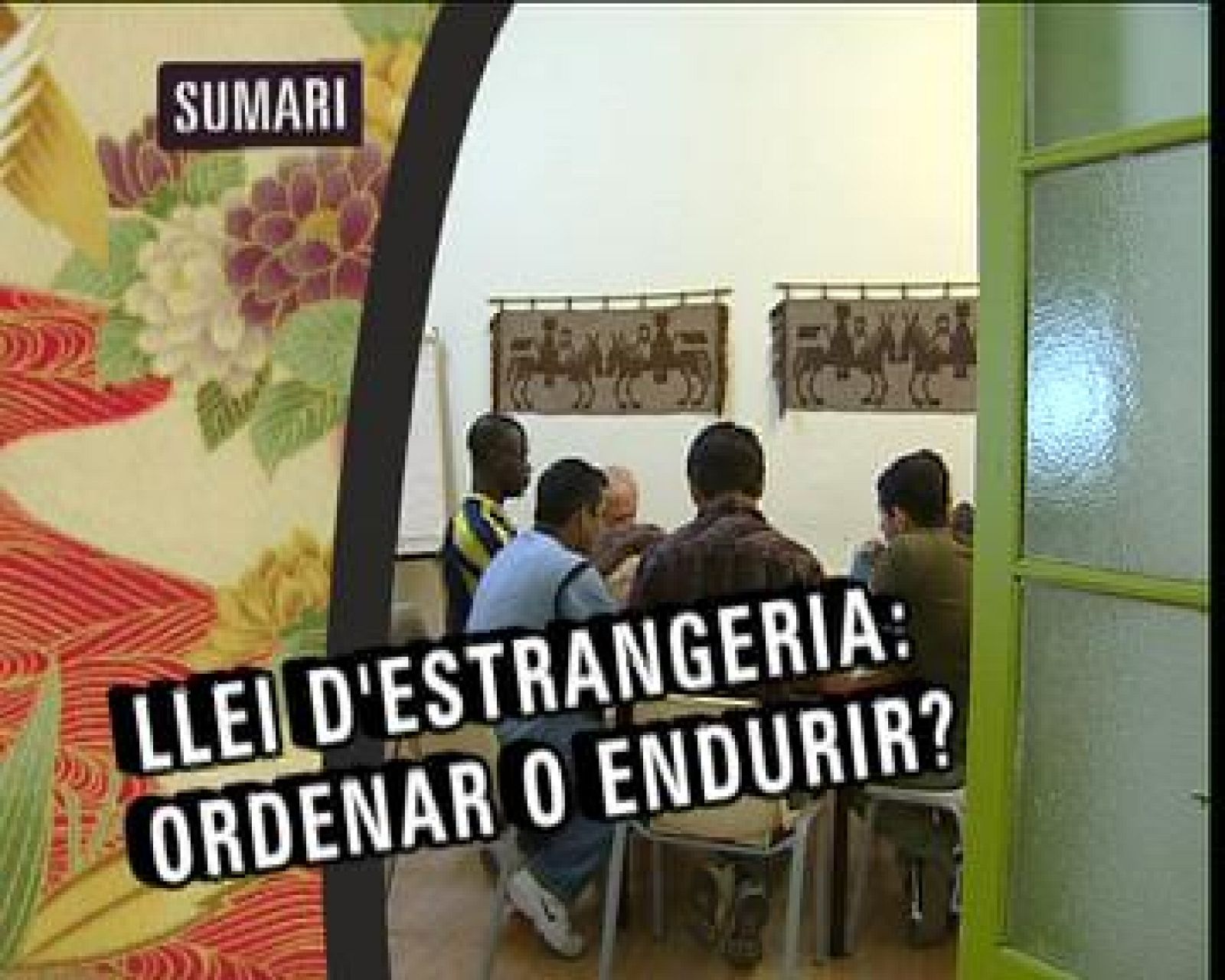 Els nous catalans: La polèmica reforma de la llei d'Estrangeria