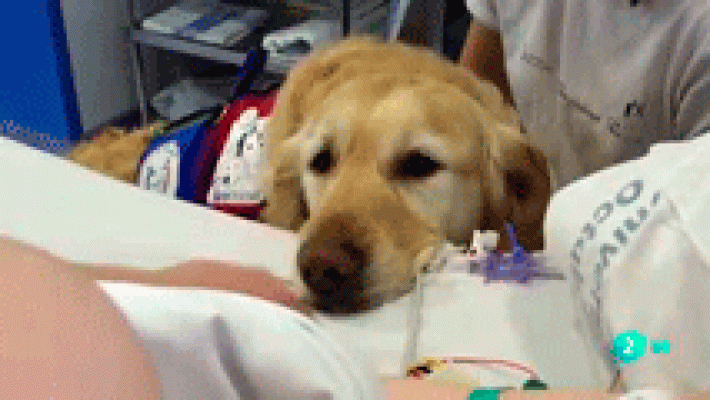 La aventura del Saber - Huellas de colores