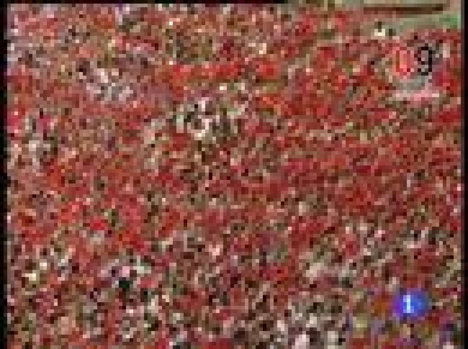 Sanfermines 2009. Chupinazo