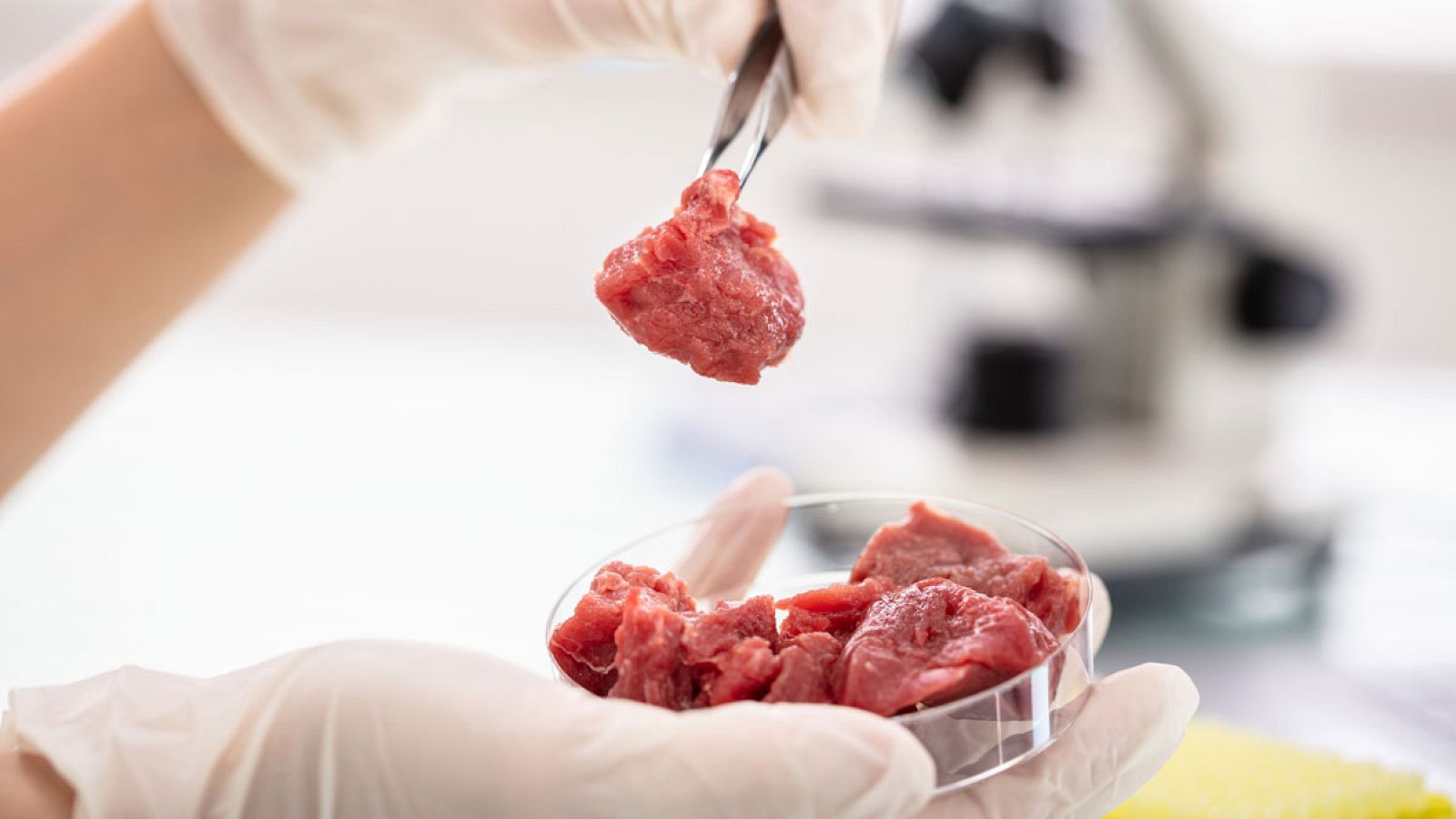 La patronal del sector cárnico admite que las ventas de carne mechada han caído un 60% por los casos de listeriosis. Ante esta crisis ha convocado una rueda de prensa en la que ha acusado a la empresa de causar el brote. Creen que falló el autocontro