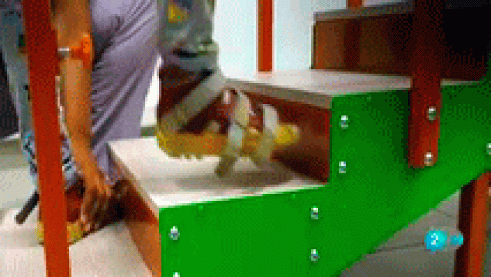 La aventura del Saber - Neurofuturo Segovia