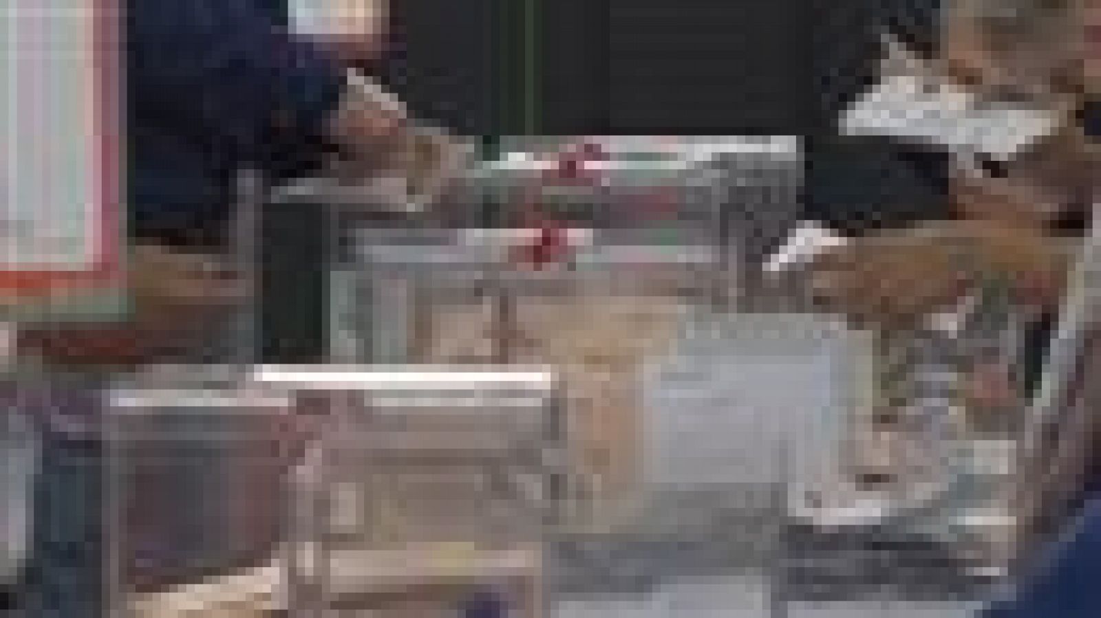 Canarias en 2' - 13/09/2019