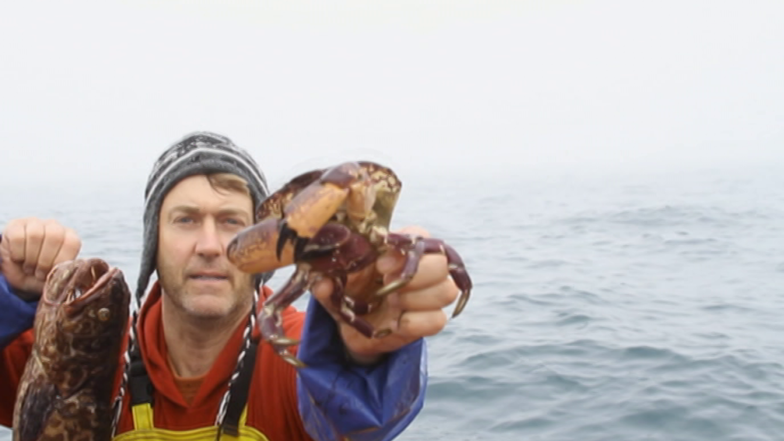 Grandes documentales - Nacido explorador: Chile, besado por el mar - ver ahora