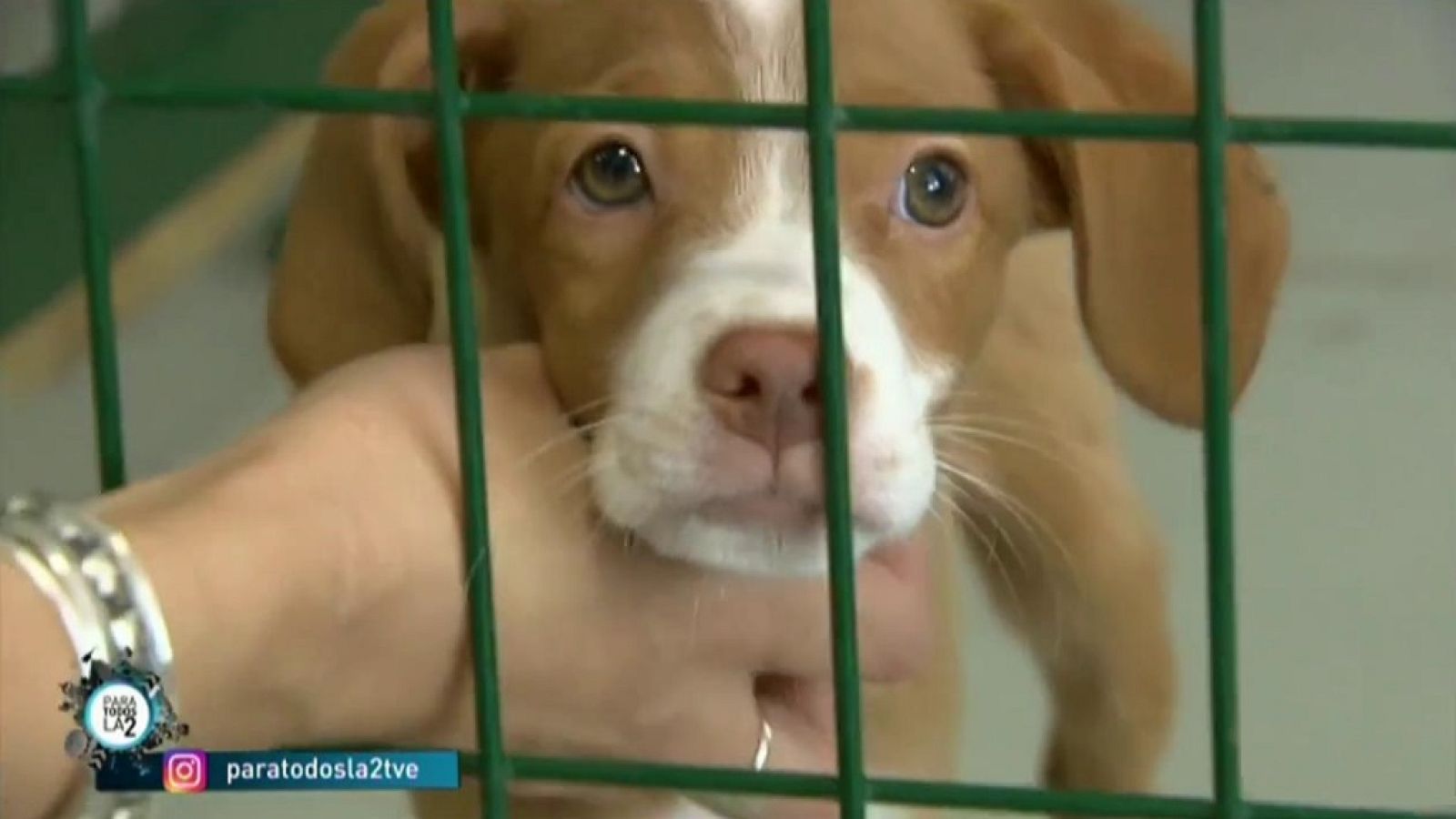 Para todos La 2 - 14/09/19 - ver ahora