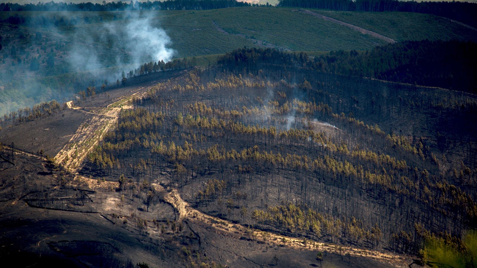Controlado el incendio de A Gudiña tras quemar cientos de hectáreas