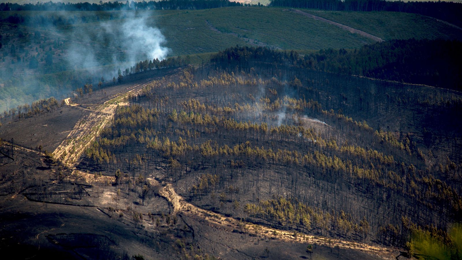 Telediario 1: Controlado el incendio de A Gudiña tras quemar cientos de hectáreas | RTVE Play