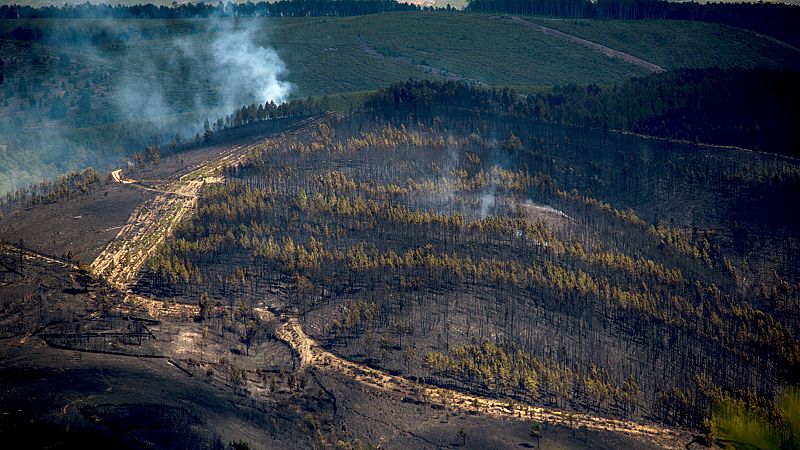Controlado el incendio de A Gudiña tras quemar cientos de hectáreas