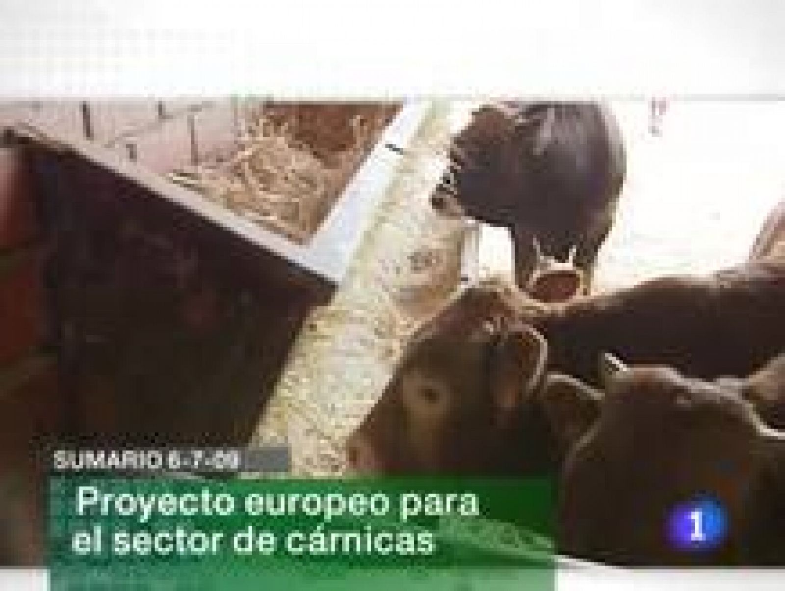 Informativo  Telerioja (06/07/09)