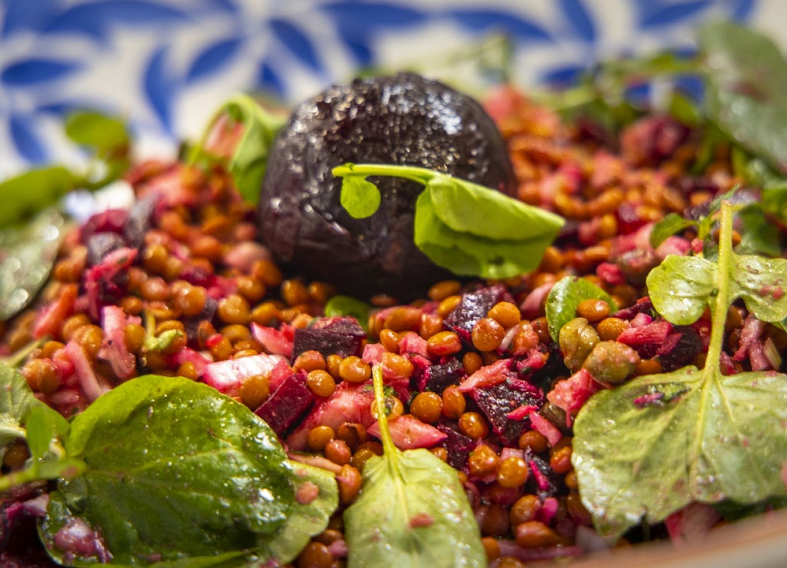 "Ensalada de lentejas" de Dani García