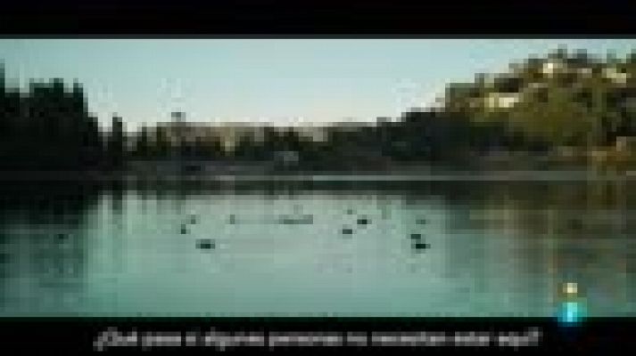 Días de cine - 'Dulcinea'