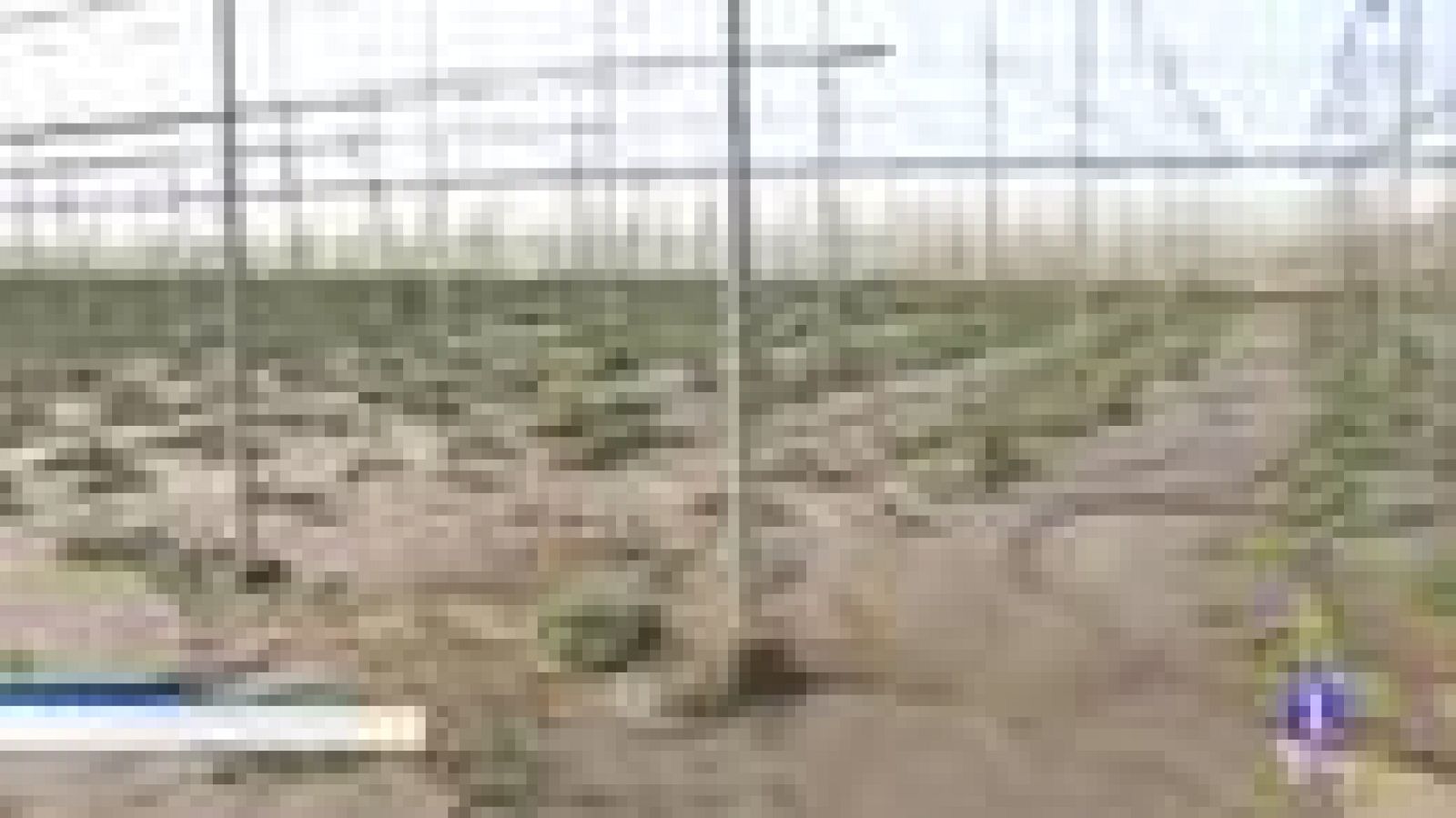 Noticias Andalucía 2 - 16/9/2019 | Ver